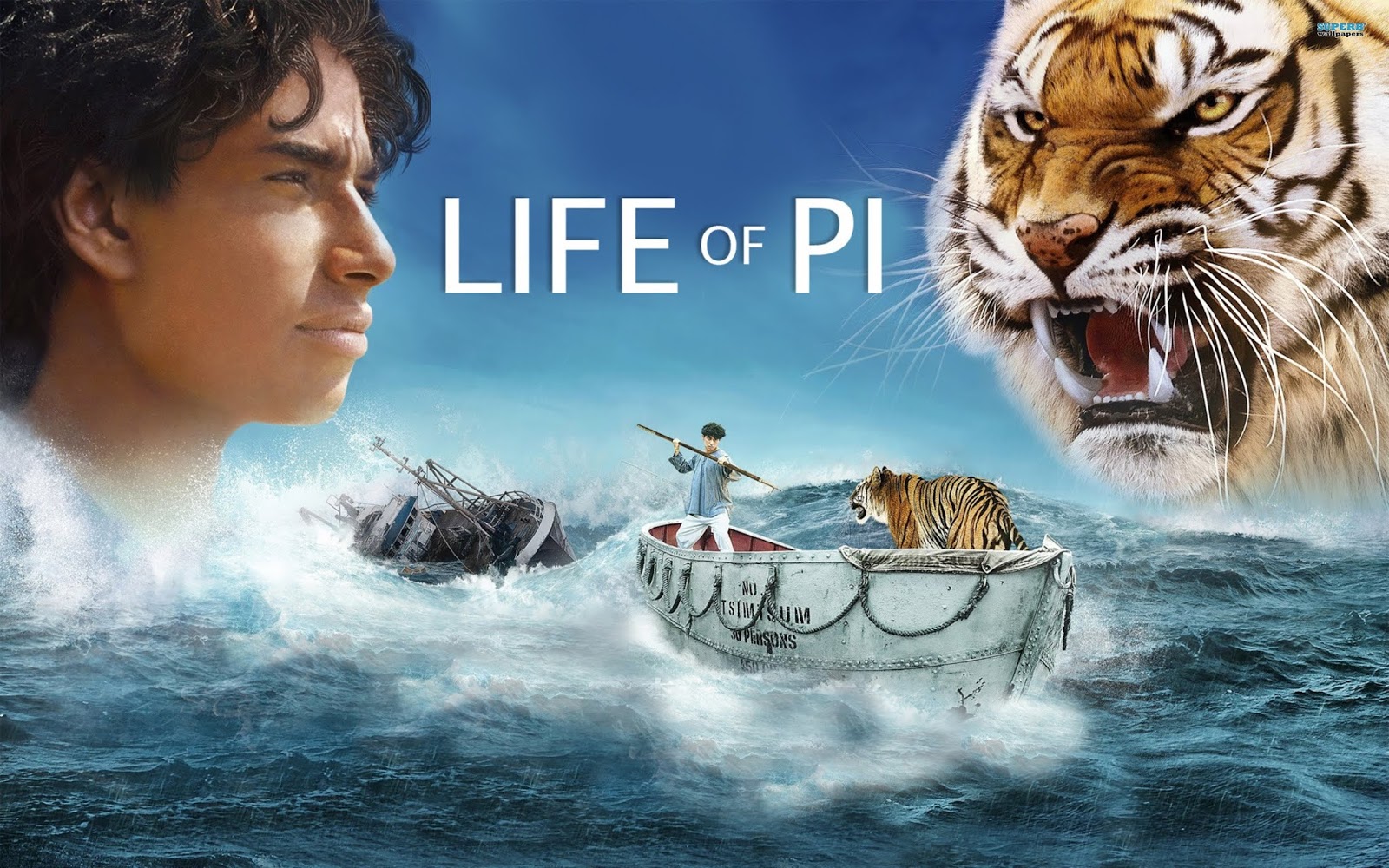 Filmes para Assistir com Seu Gato: Uma Noite Aconchegante no Cinema