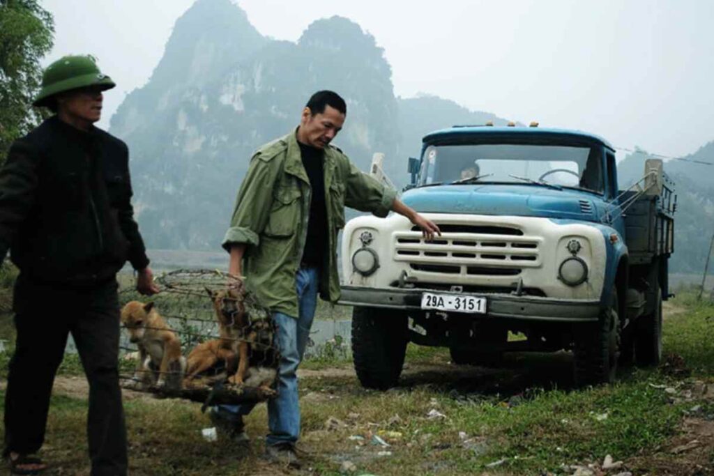 Os Melhores Filmes que Capturam a Vida dos Caminhoneiros