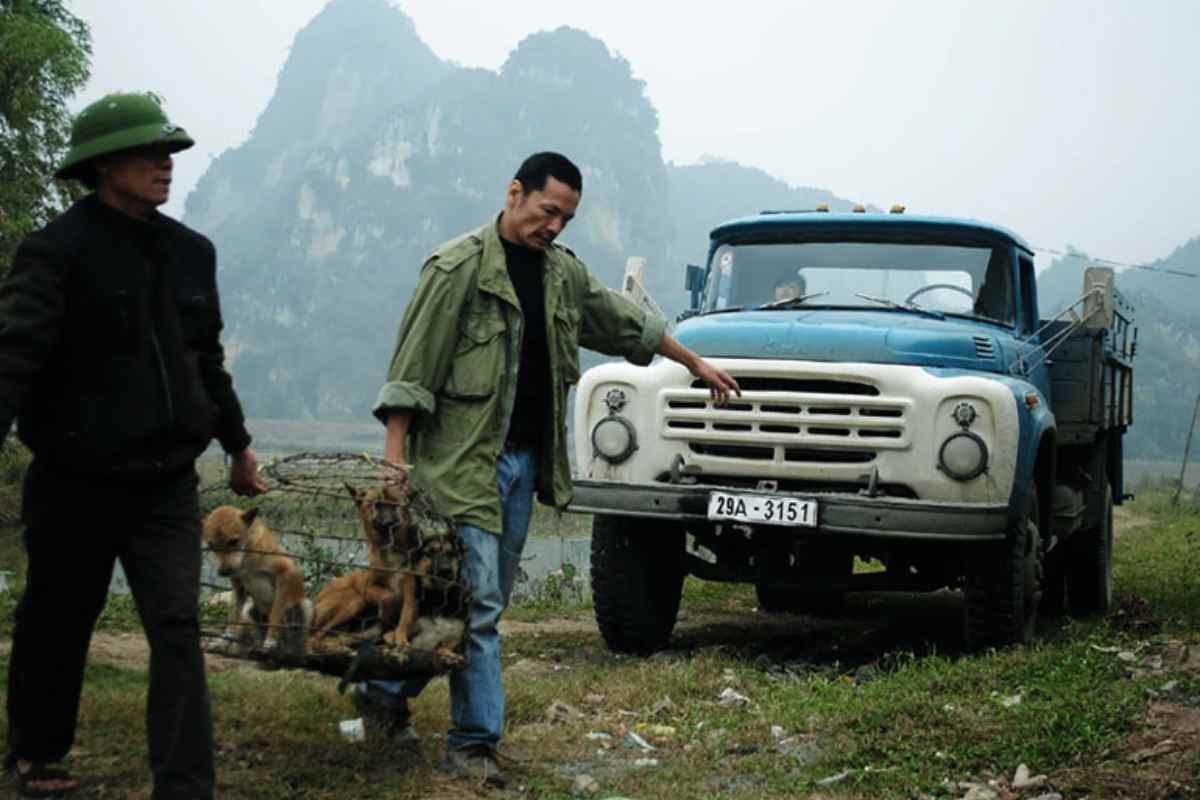 Os Melhores Filmes que Capturam a Vida dos Caminhoneiros